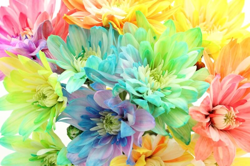 AdobeStock_250235134