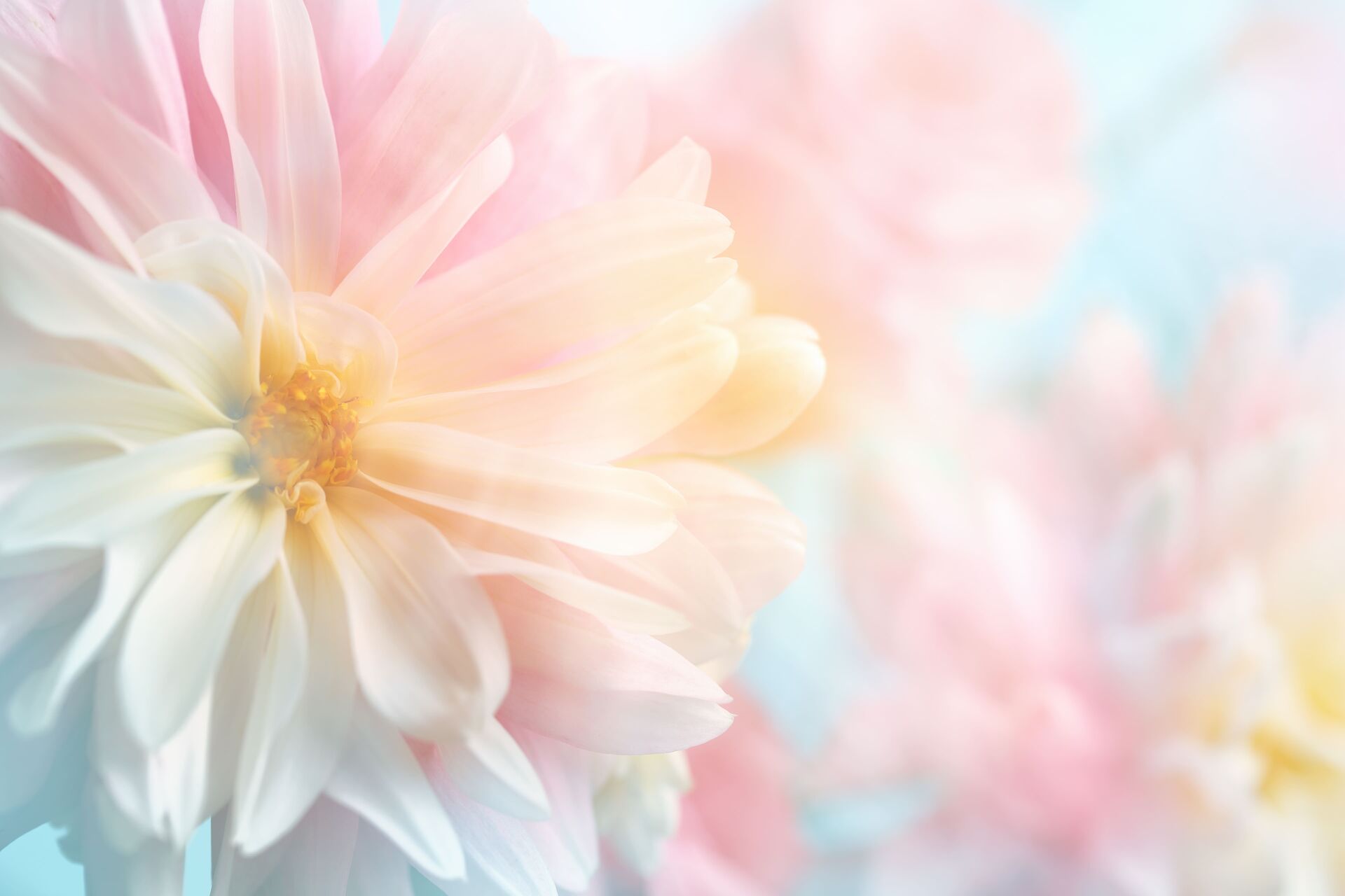 AdobeStock_117117464